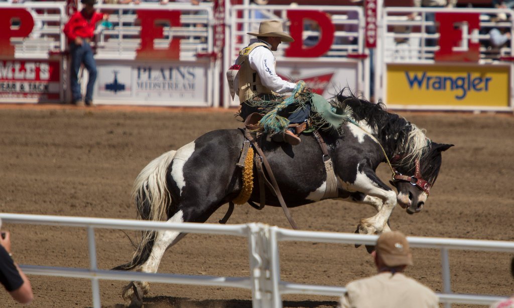 Calgary Stampede-1749.jpg